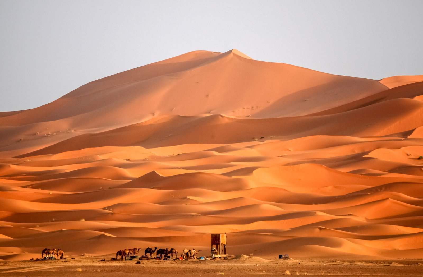Berber homes at the foot of gigantic and stunning sand dunes of Sahara desert in Merzouga, Morocco