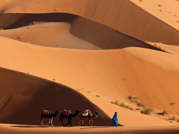 Imperial Cities & Desert Tour